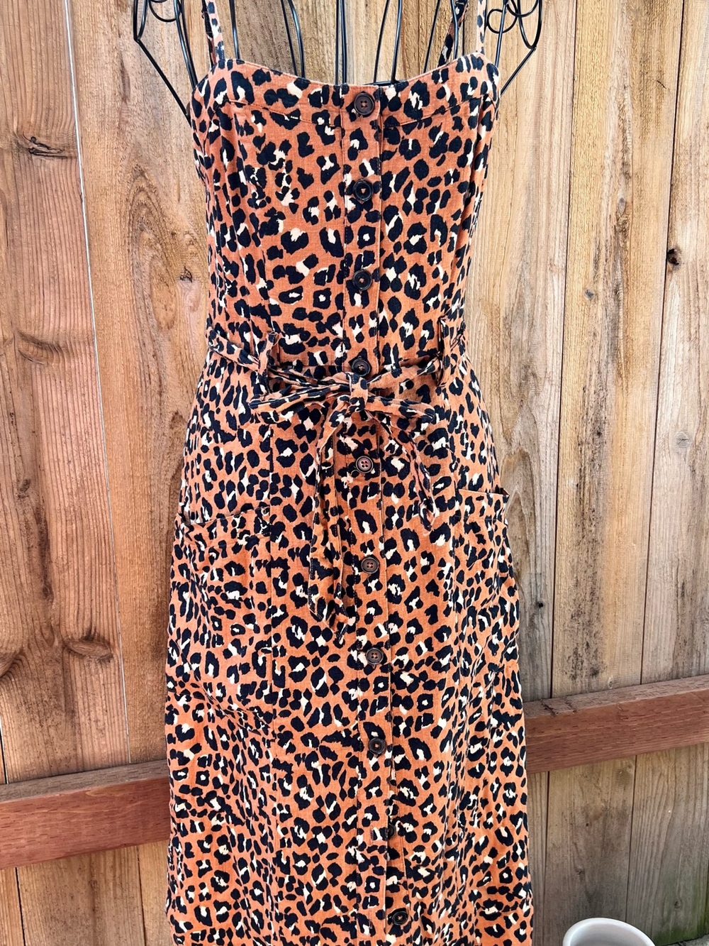 Rails Evie in Golden Leopard, Button-Front Sundress